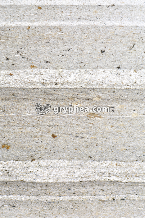 Schiste LPA x5 - gryphea.org